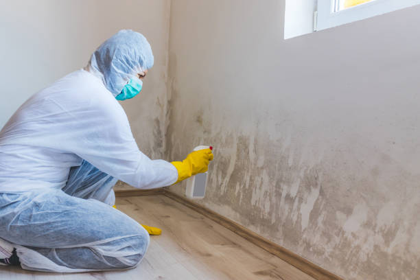 Crawl Space Mold Removal in Osakis, MN