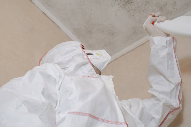 Best Emergency Mold Removal  in Osakis, MN